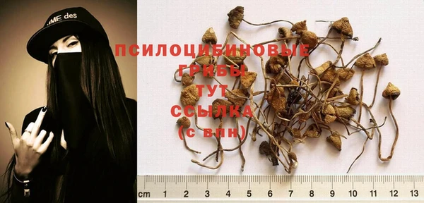 мескалин Алексеевка